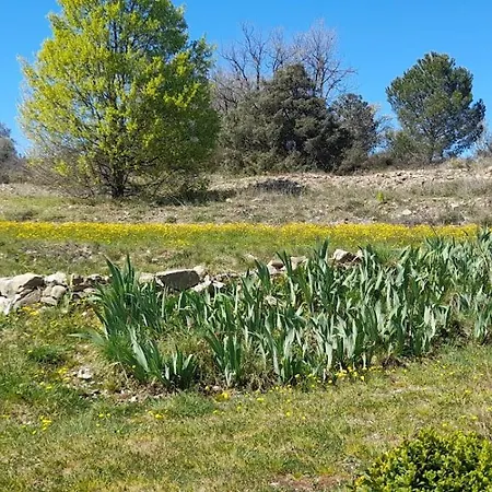 La Picholine Provence *